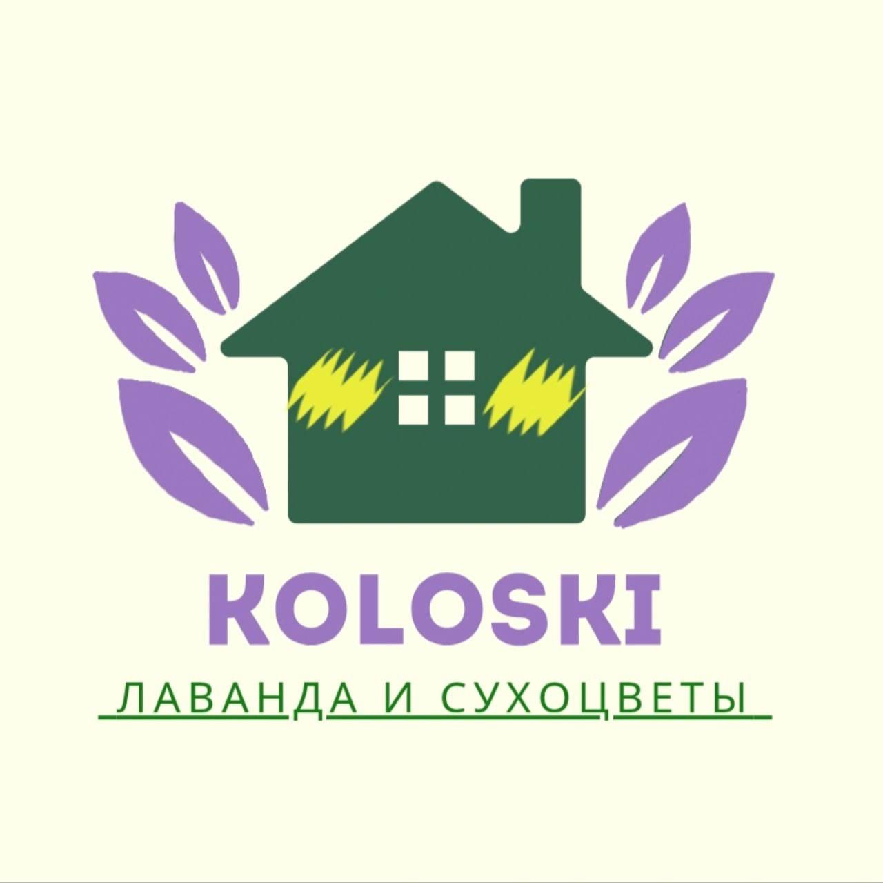 Логотип Koloski
